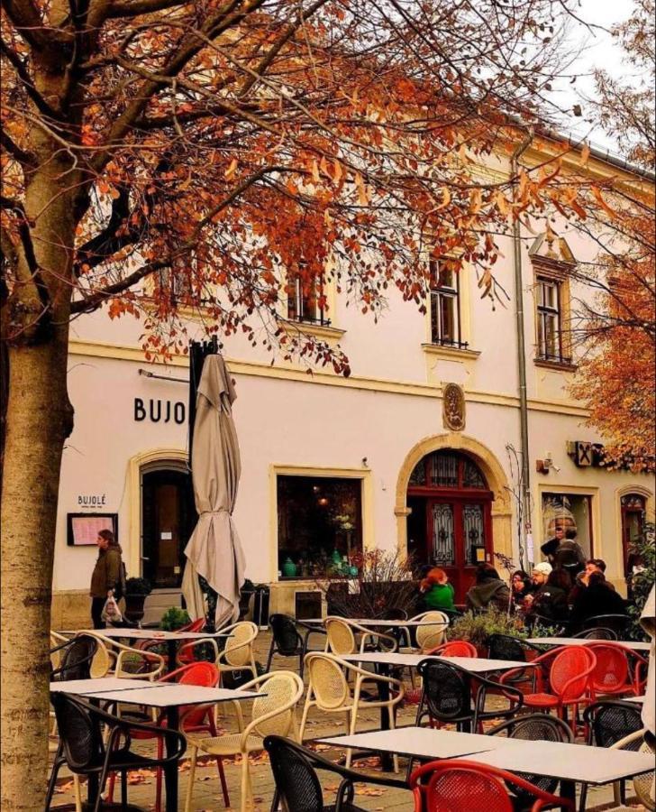 Ferienwohnung Ndl Downtown Cluj-Napoca Exterior foto